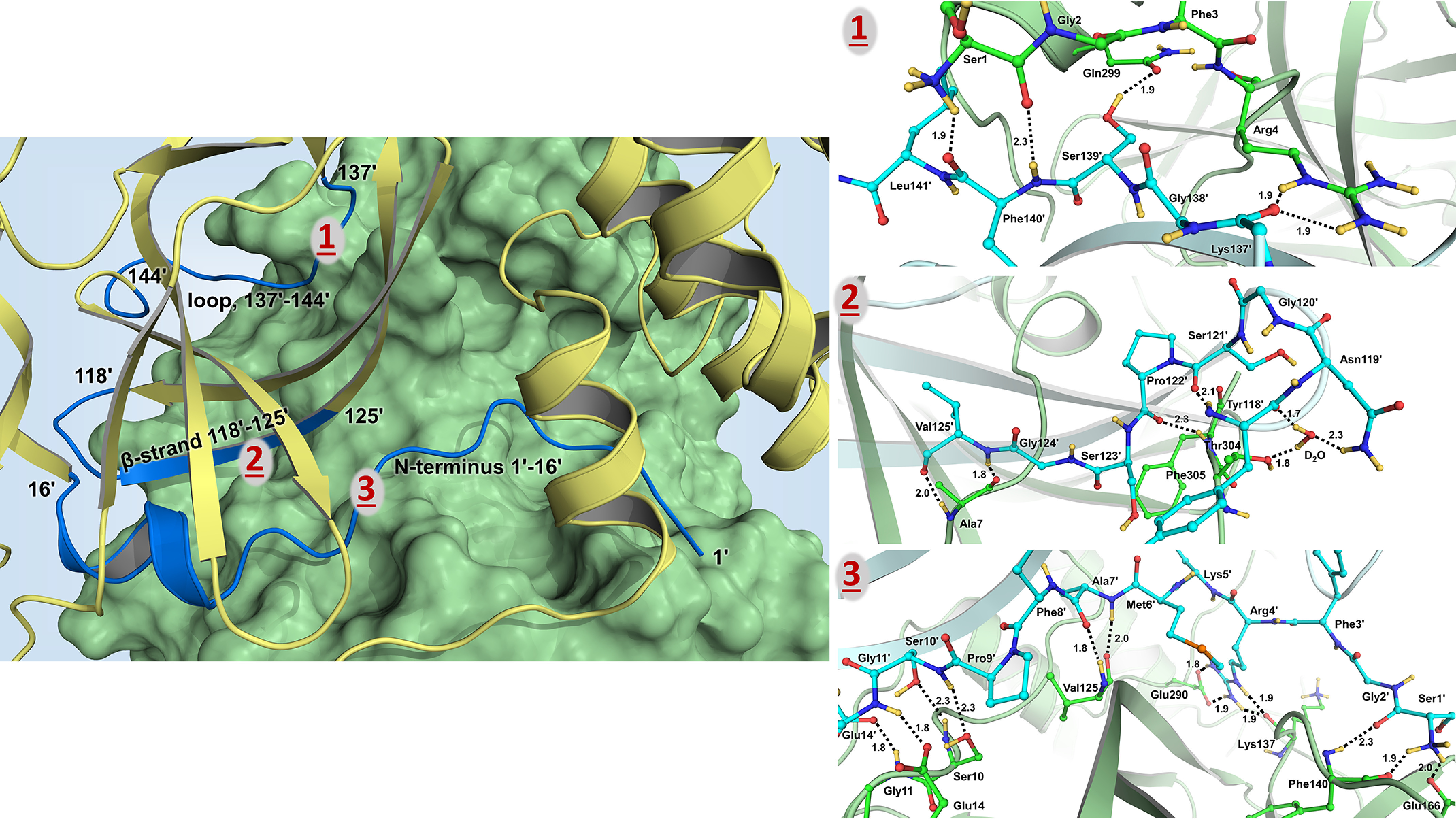 Figure 5.