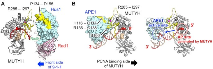 Figure 4.