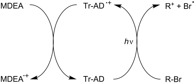 Scheme 10