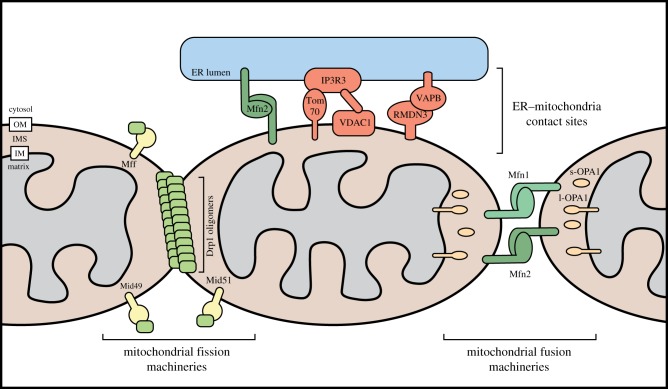 Figure 2.