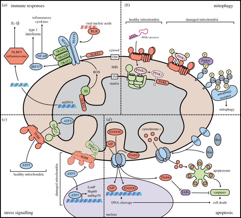 Figure 4.