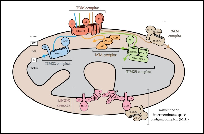 Figure 1.