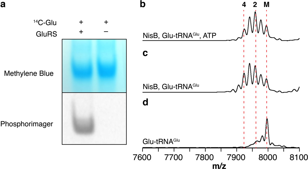 Extended Data Figure 2