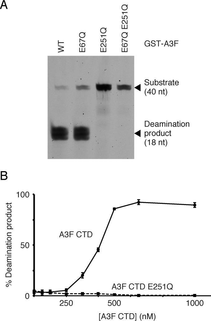 FIG 6