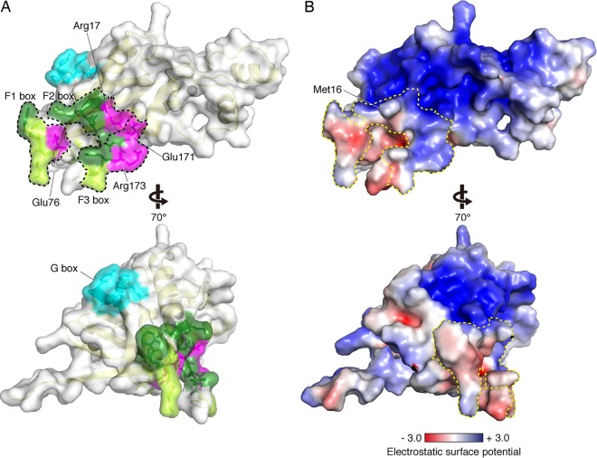 FIG 2