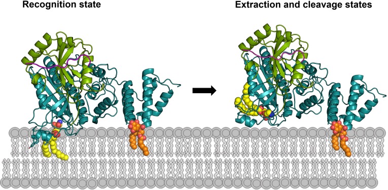 Figure 7.