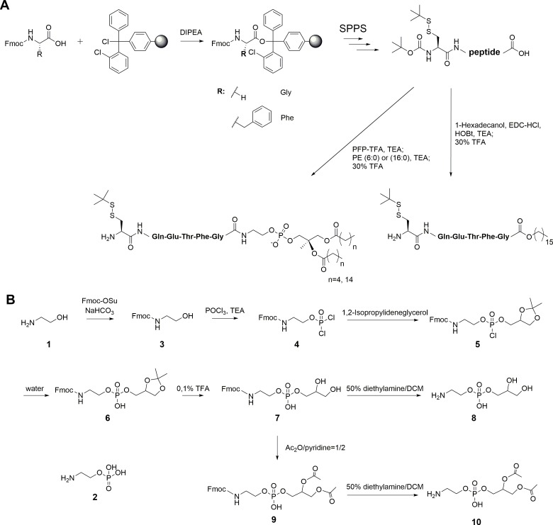 Figure 1—figure supplement 1.