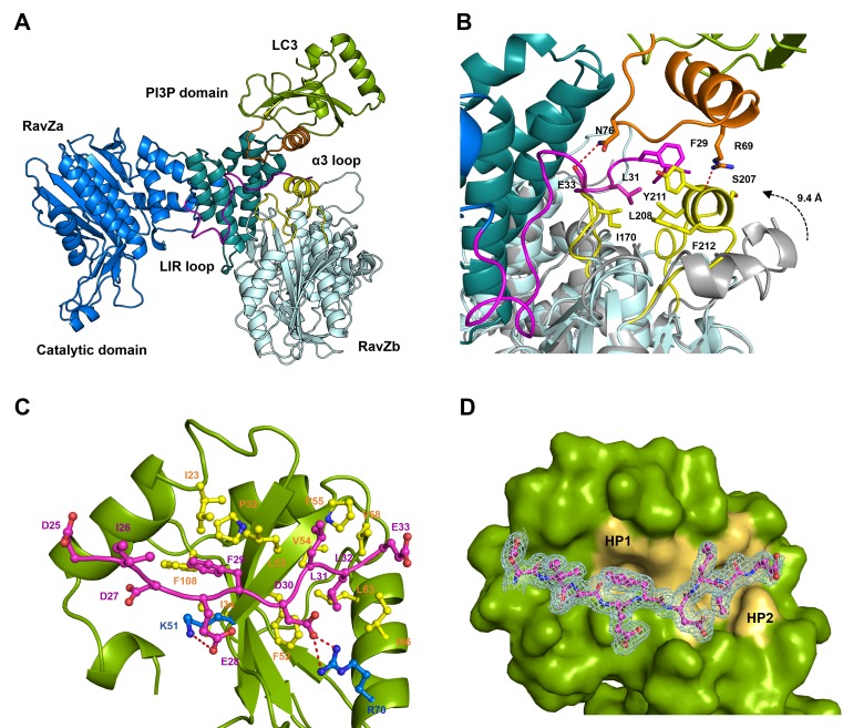 Figure 5.