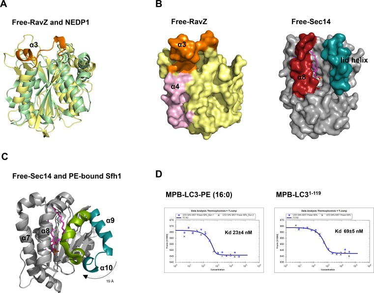 Figure 6—figure supplement 1.