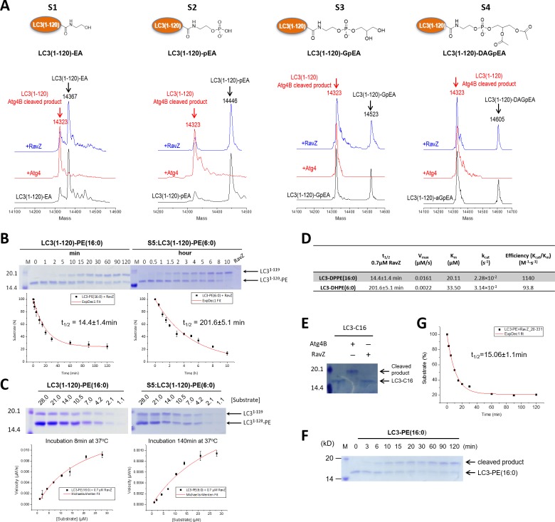 Figure 2—figure supplement 2.