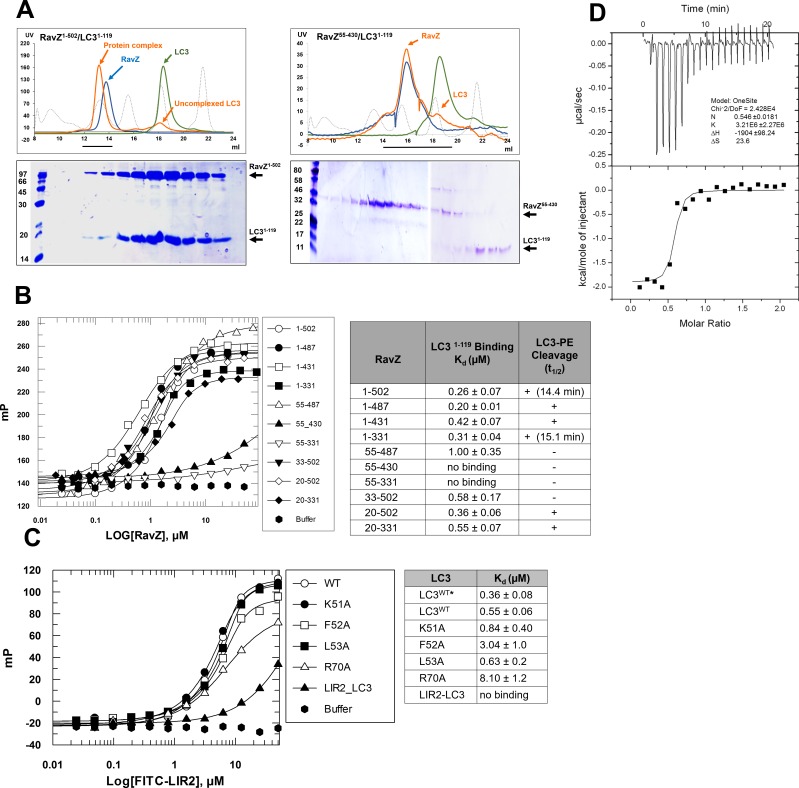 Figure 4—figure supplement 1.