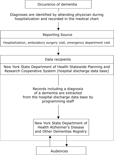 Flow chart illustrating the flow of data from hospitals to New York State Department of Health Alzheimer's Disease and Other Dementias Registry, 2003.