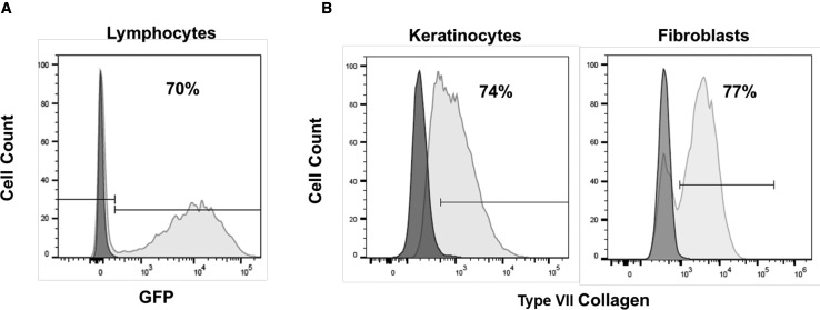 Figure 6