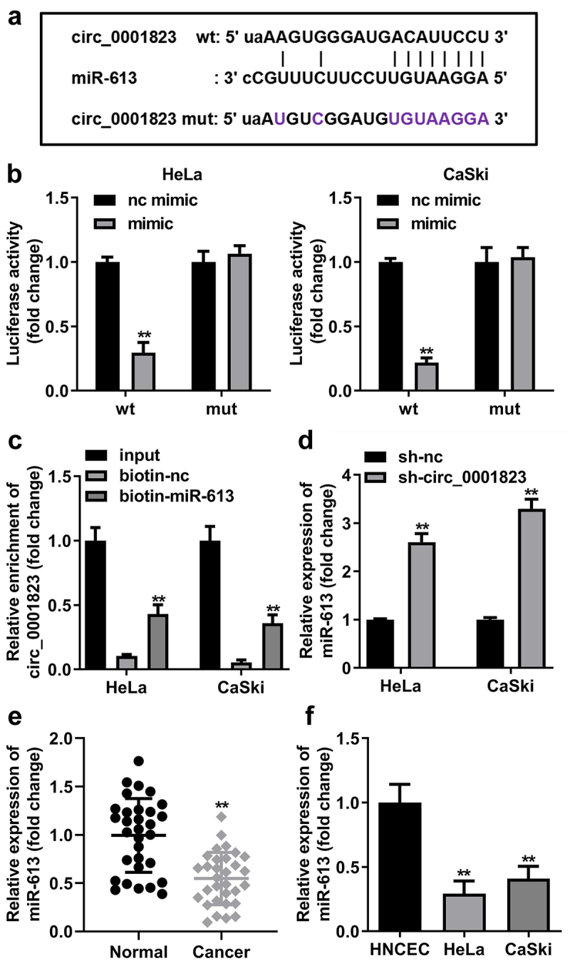 Figure 6.