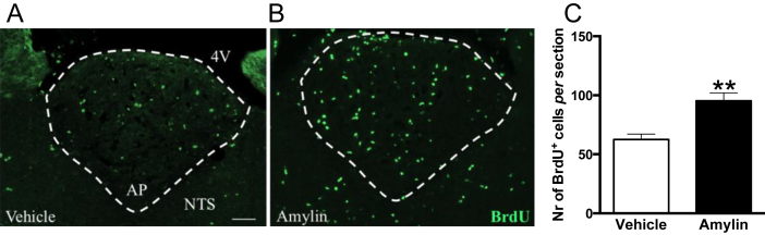 Figure 3