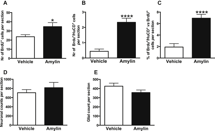 Figure 5