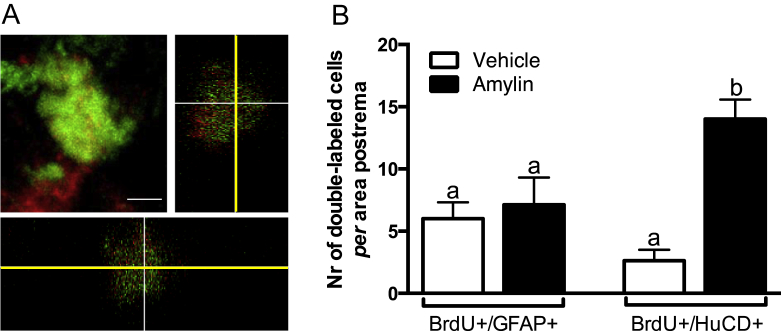 Figure 6