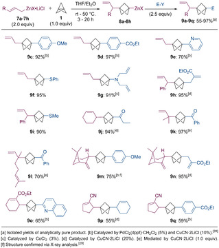 Scheme 6