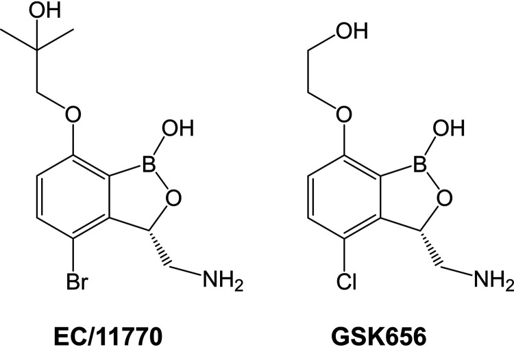 FIG 1