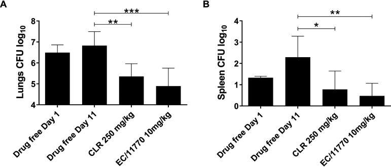 FIG 3