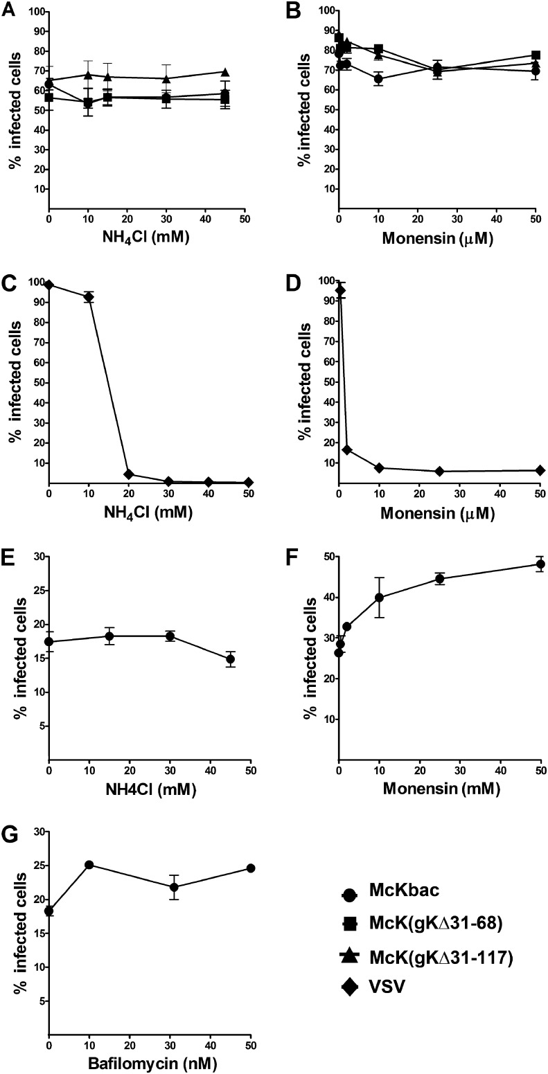 Fig 5