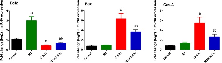 Figure 13