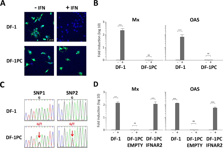 FIG 6