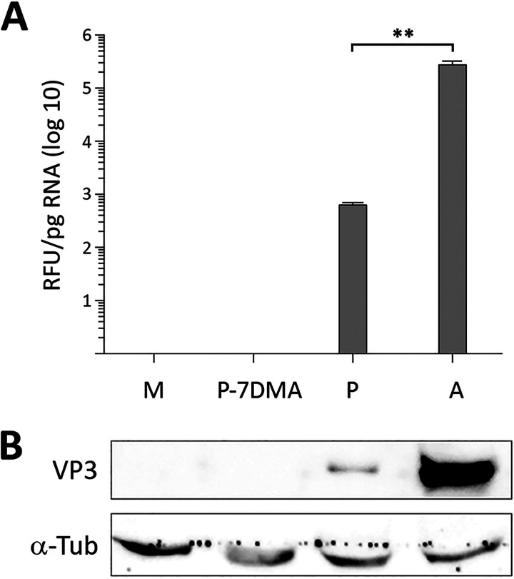 FIG 4