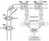 FIG. 20