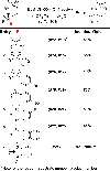 Scheme 4.