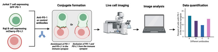 graphic file with name BioProtoc-14-17-5057-ga001.jpg