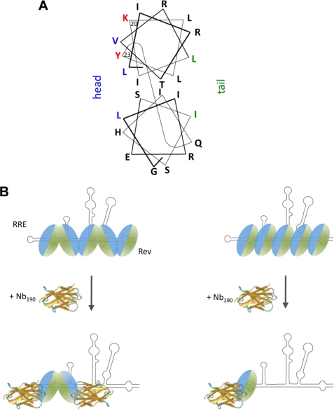 FIGURE 9.