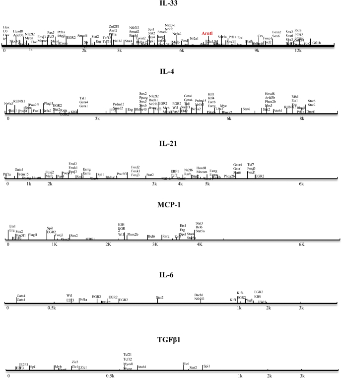 Figure 11