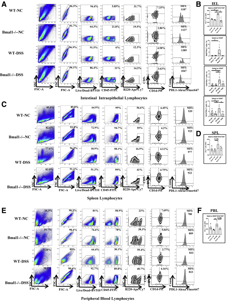 Figure 5