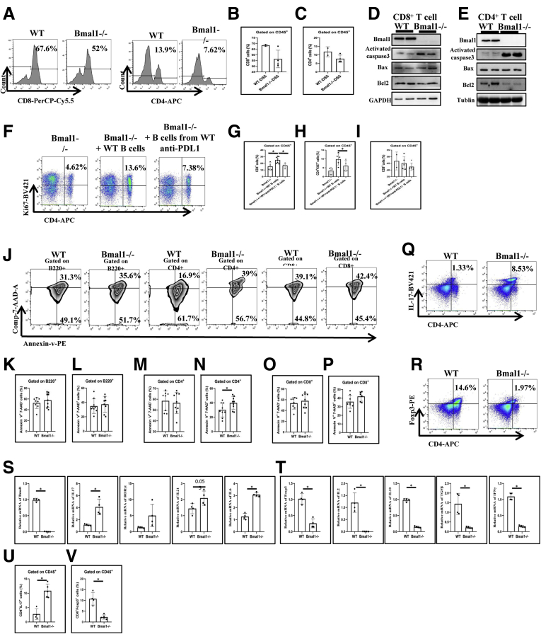 Figure 12