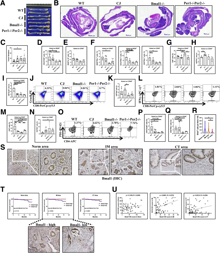 Figure 13