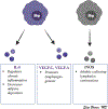 Figure 4: