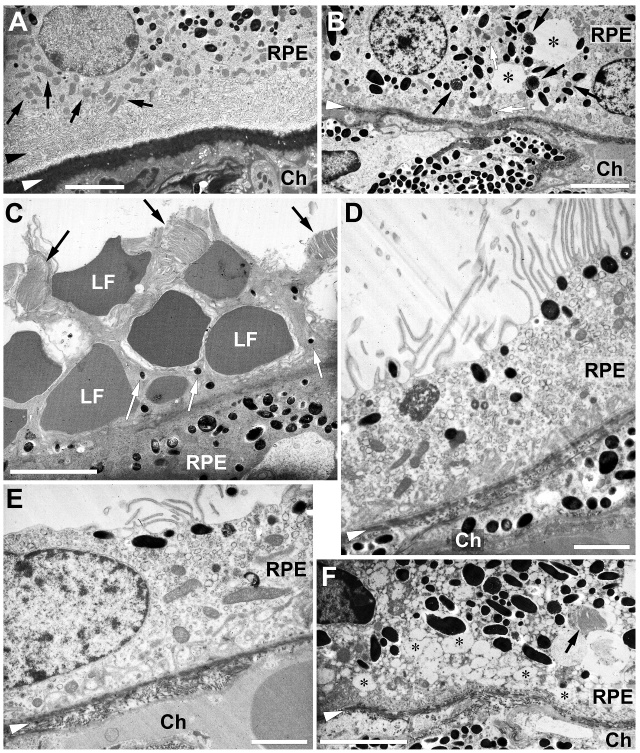 Figure 10.