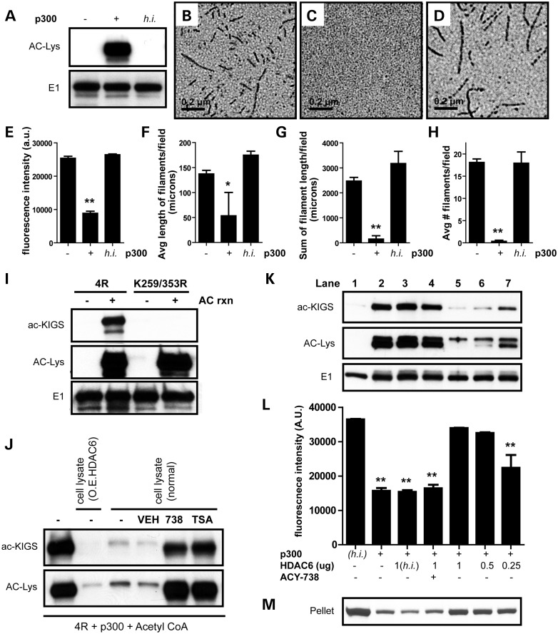 Figure 1.