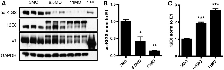 Figure 5.