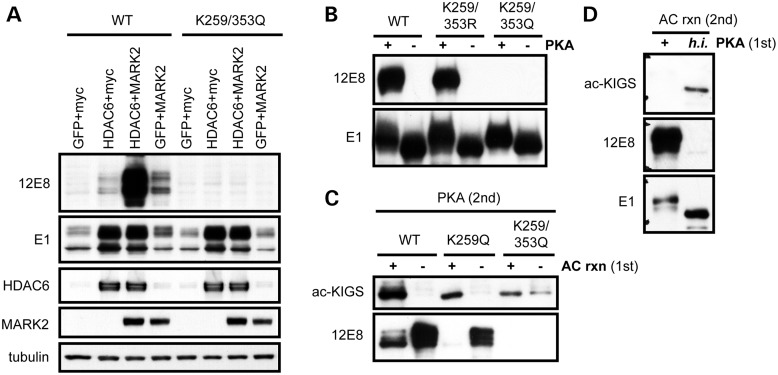 Figure 3.