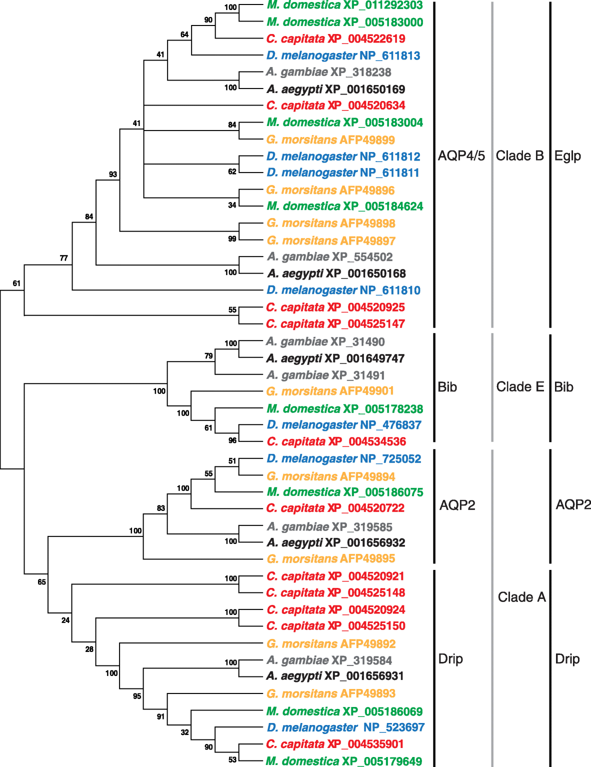 Fig. 7