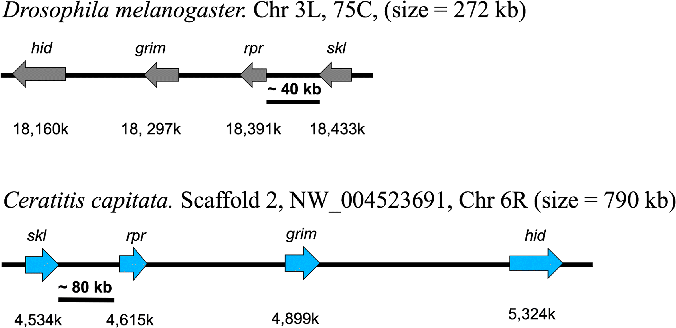 Fig. 11