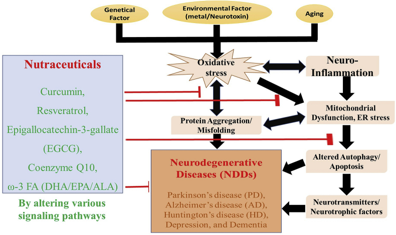 Fig. 2