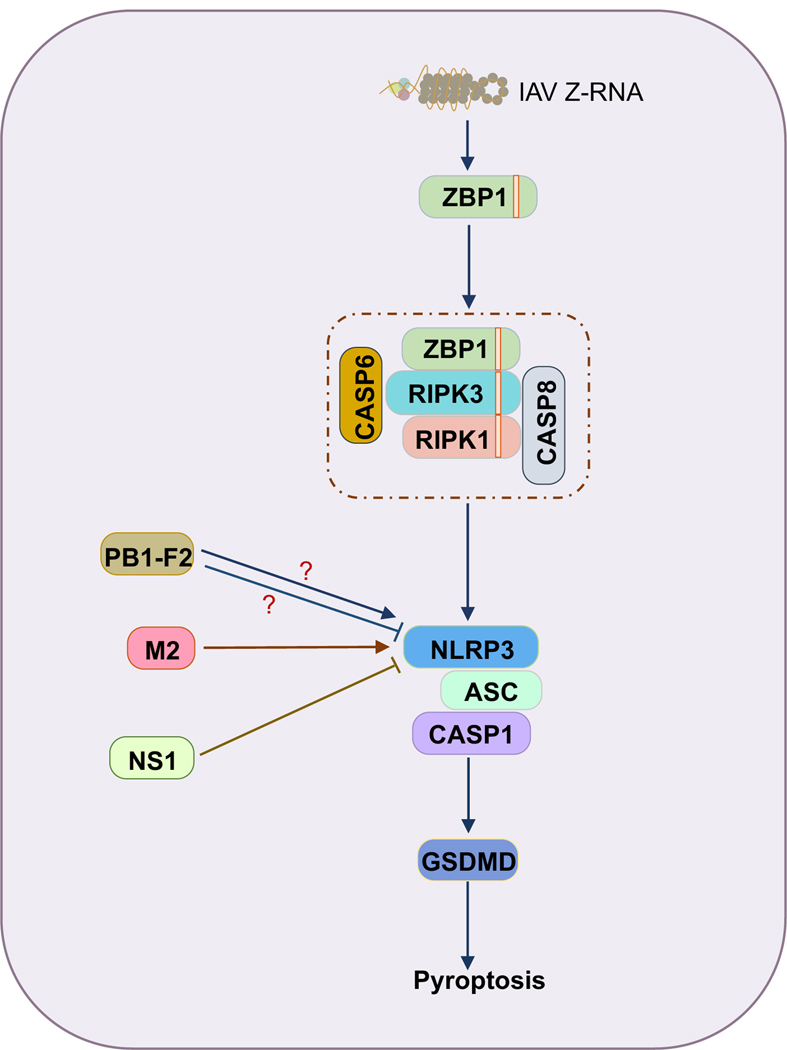 FIGURE 4.