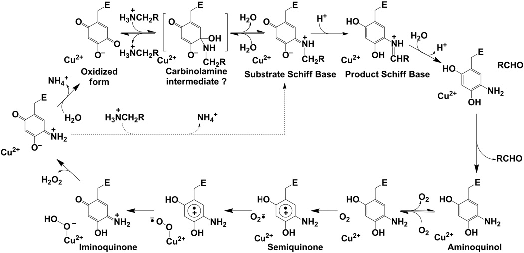 Scheme 7