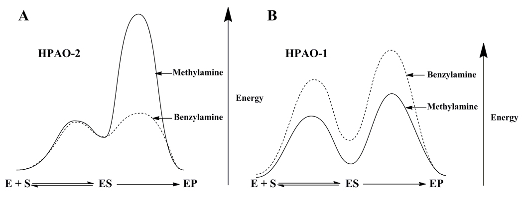 Scheme 8