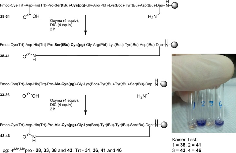 Scheme 3