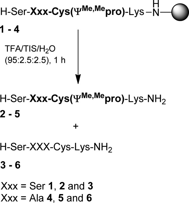 Scheme 1