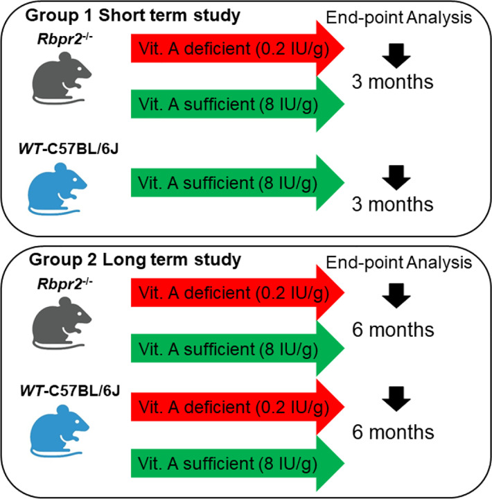 Figure 1: